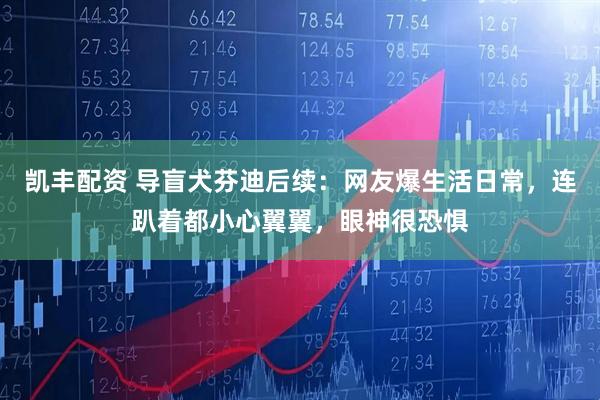 凯丰配资 导盲犬芬迪后续：网友爆生活日常，连趴着都小心翼翼，眼神很恐惧
