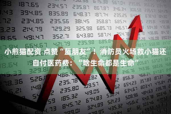 小煎猫配资 点赞“蓝朋友”！消防员火场救小猫还自付医药费：“啥生命都是生命”